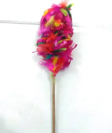 PLUMERO POLLO COLORES